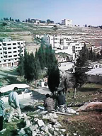 Overview of the scene