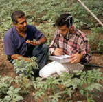 Environment in palestine