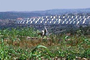 Palestinian farmer with Israeli colony in background