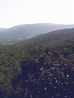 Photo of Birzeit from Mustafa's house