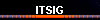  ITSIG 