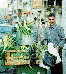 Photo: Corn seller on Ramallah Main Street