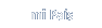 mi país