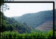 Haska valley, it's a very beutiful natured valley, with water springs.