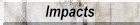 Impacts