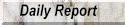 Daily Report