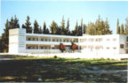 schol-11-s.jpg (6935 bytes)