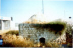 sheikh-s.jpg (6157 bytes)