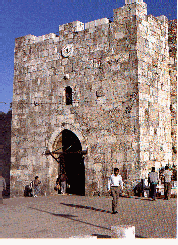 Flower Gate