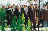 25.jpg (22443 bytes)
