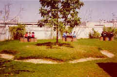 children-garden.jpg (44528 bytes)