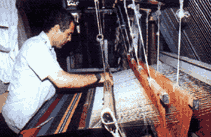 eco.gif (42471 bytes)
