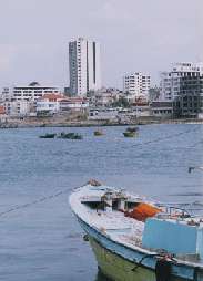 sea1.jpg (7271 bytes)