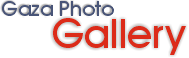gallery1.gif (5026 bytes)
