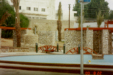 wpe97633.gif (109252 bytes)