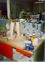wpe08882.gif (290286 bytes)