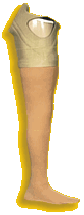 limbs3.gif (6110 bytes)
