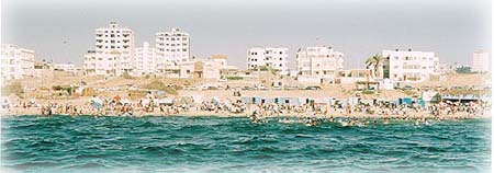 sea1.jpg (25859 bytes)