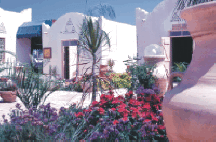 Village-enter.gif (87048 bytes)