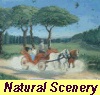 Natural Scenery