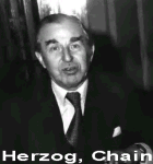 هيرزوج، حاييم