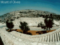 Mount of Olive
