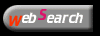 web search