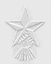 Wi'am Logo