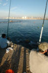 Jaffa City