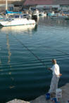 photo gallery palestine