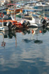 water reflections photos
