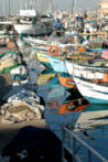 Fishing Industry Photos, Palestine