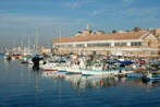 Art, Palestine, Photos, Images, Pictures, Photo, Photography