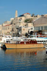 Palestine Photo Gallery 
