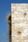 Palestinian Palace remains