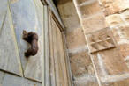 Old door knob photo