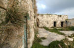 Palestinina History Images