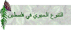 التنوع الحيوي في فلسطين