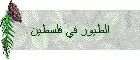 الطيور في فلسطين