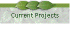 Current Projects