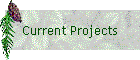 Current Projects
