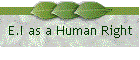 E.I as a Human Right