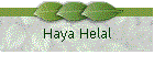 Haya Helal