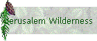 Jerusalem Wilderness