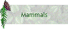 Mammals