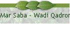 Mar Saba - Wadi Qadron