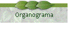 Organograma