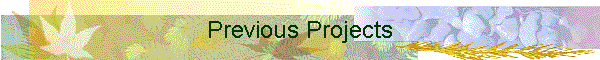Previous Projects