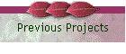 Previous Projects