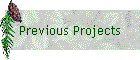 Previous Projects